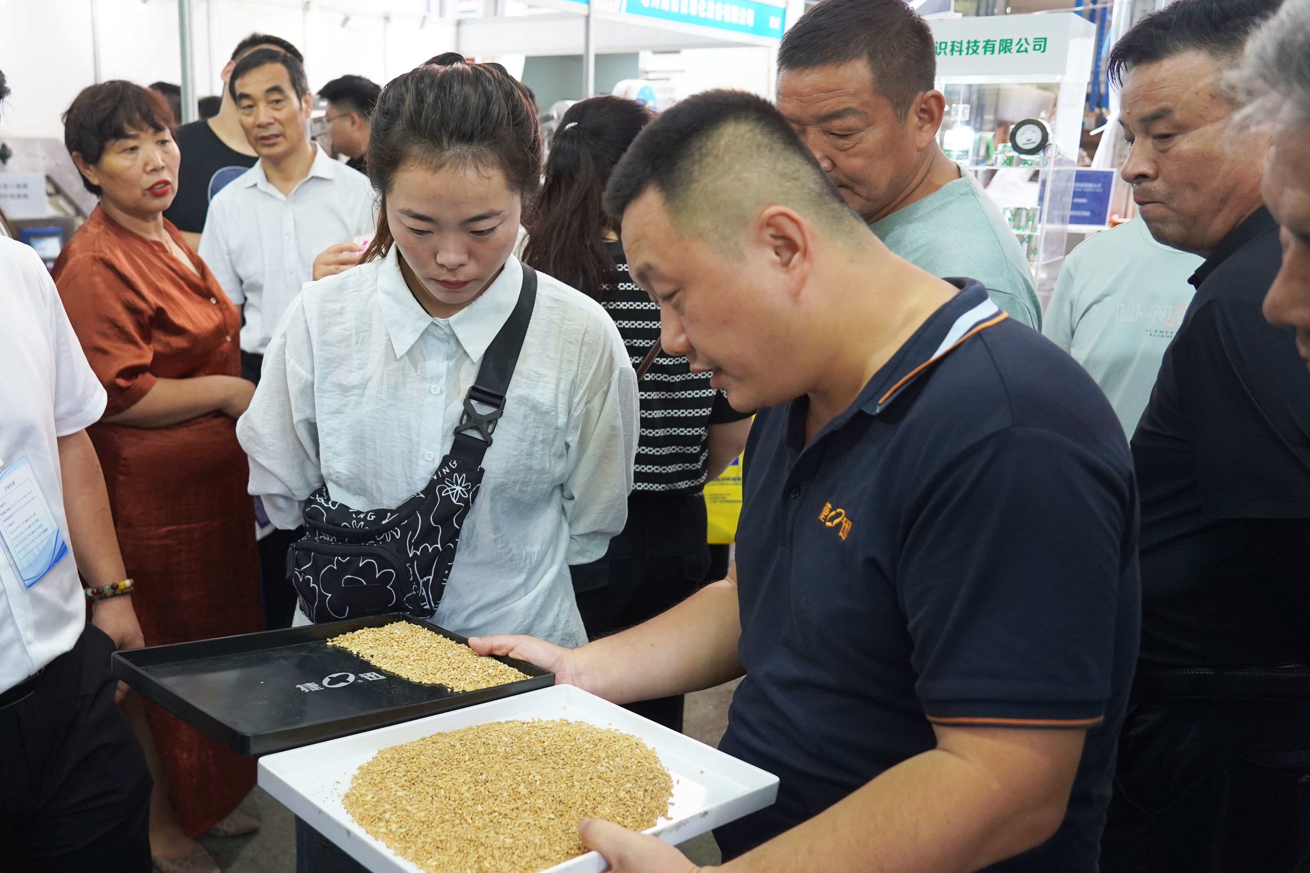 恒行6-品质新履历,专选恒行6