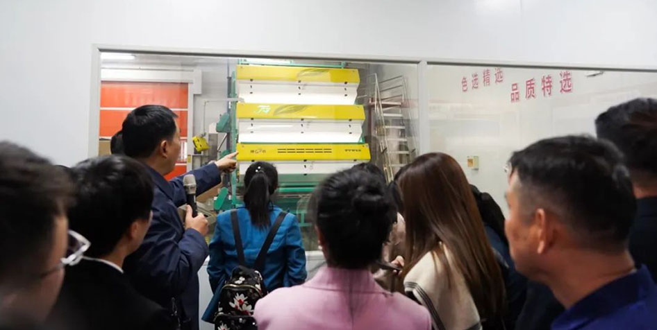 20240923150256_45298