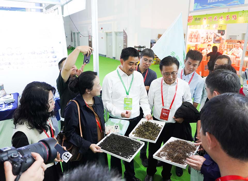 恒行6-品质新履历,专选恒行6