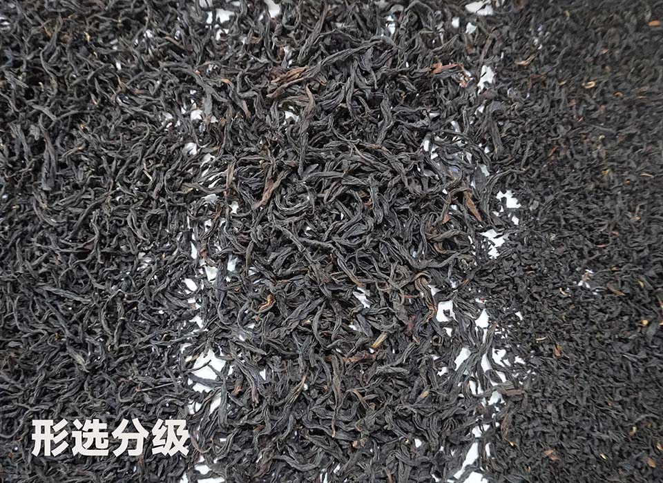 恒行6-品质新履历,专选恒行6