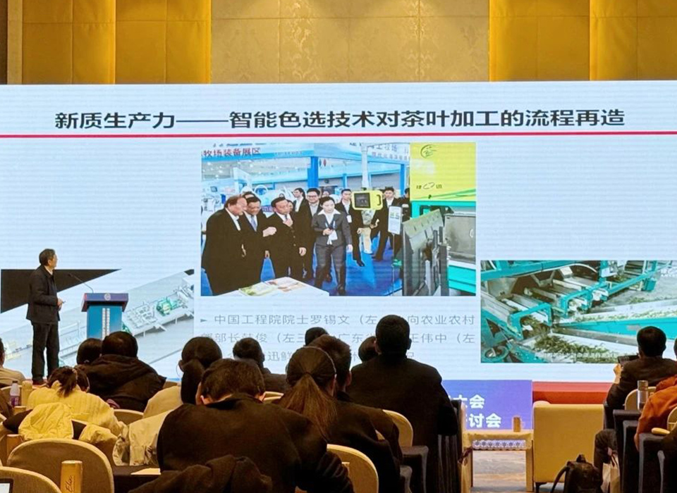 恒行6-品质新履历,专选恒行6