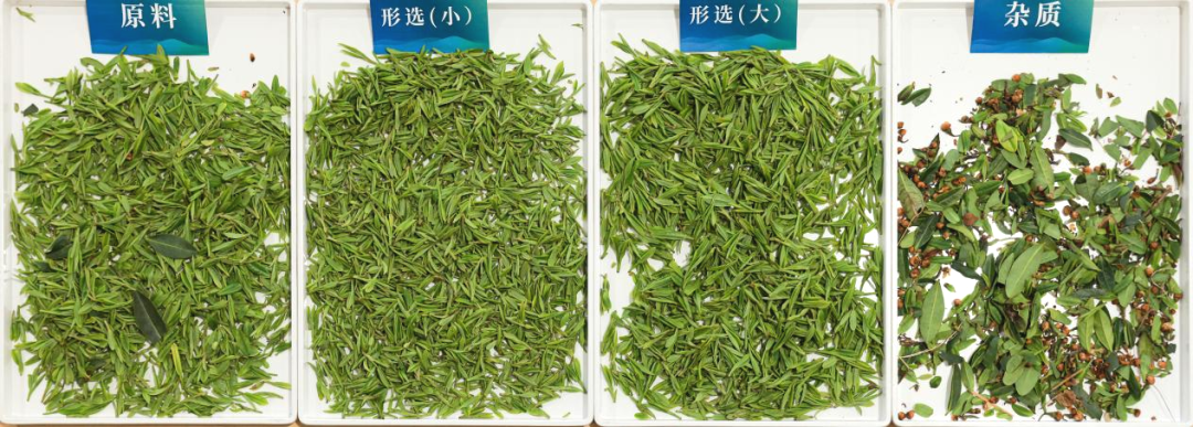 恒行6-品质新履历,专选恒行6