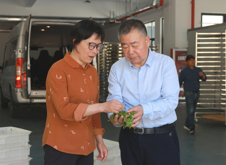 恒行6-品质新履历,专选恒行6