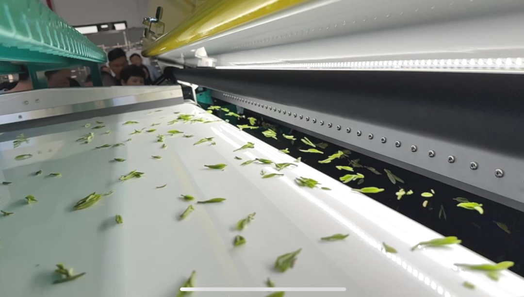 恒行6-品质新履历,专选恒行6