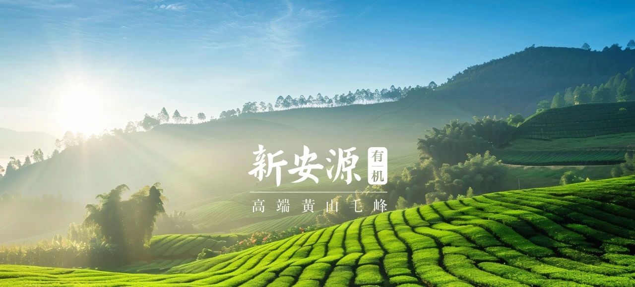 恒行6-品质新履历,专选恒行6