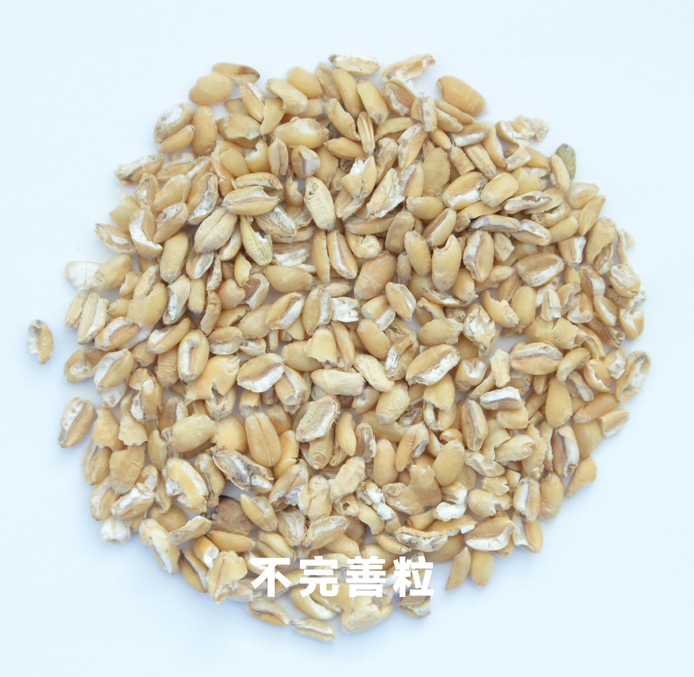 恒行6-品质新履历,专选恒行6