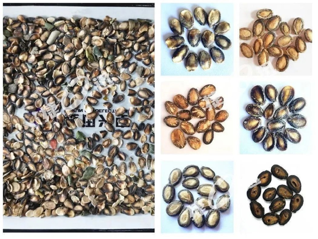 恒行6-品质新履历,专选恒行6