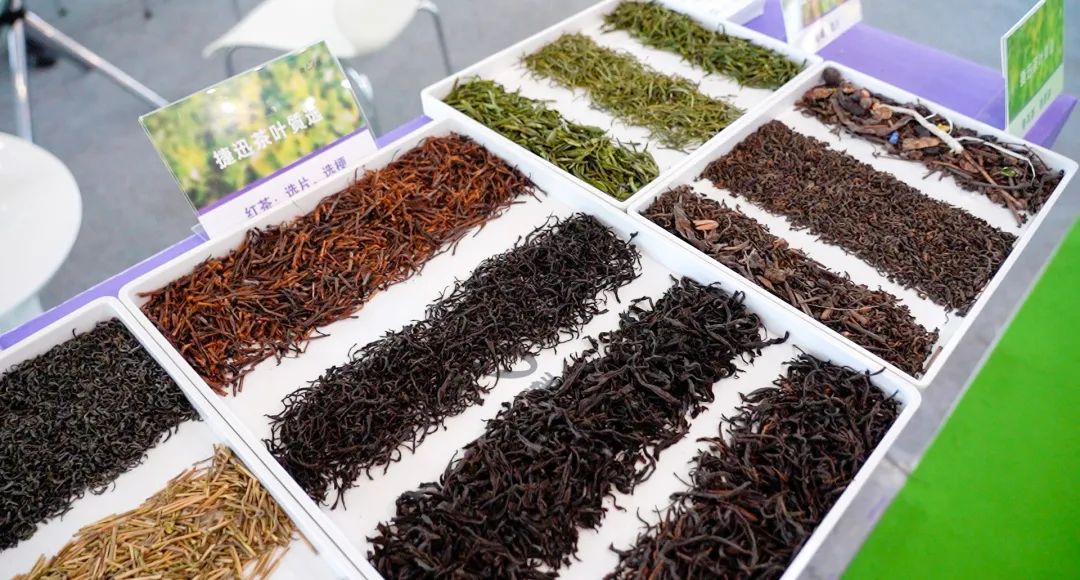 恒行6-品质新履历,专选恒行6